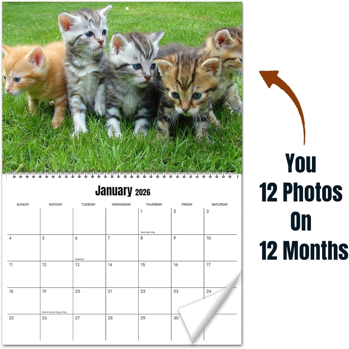 Customized Photo Wall Calendar 2026 for Home Cats Dogs Family Personalization Calendar 11 x 17 Inch Covering January to December 2026,Quality Printed Photo Wall Calendar,Can Print 13 of Your Photos